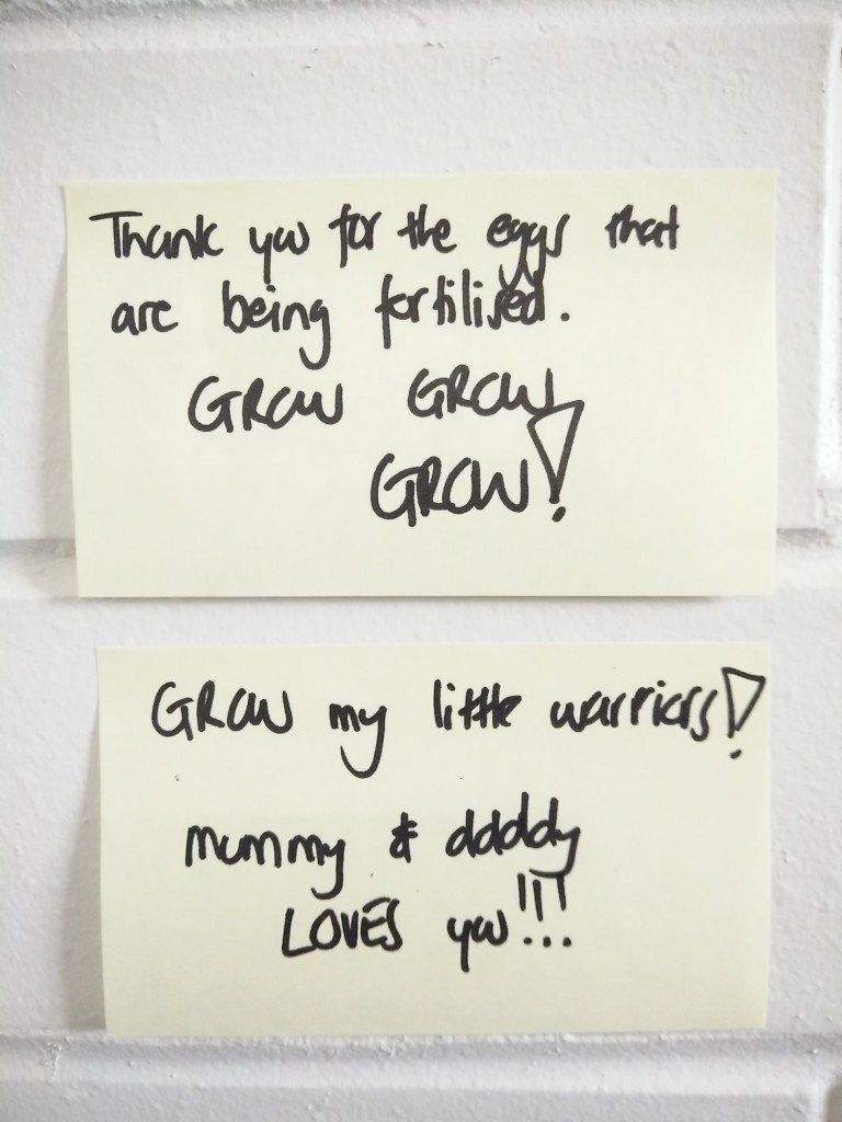 ivf-style-and-life-by-susana