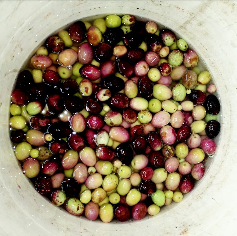 How to Marinate Olives Homemade Style Style & Life by Susana