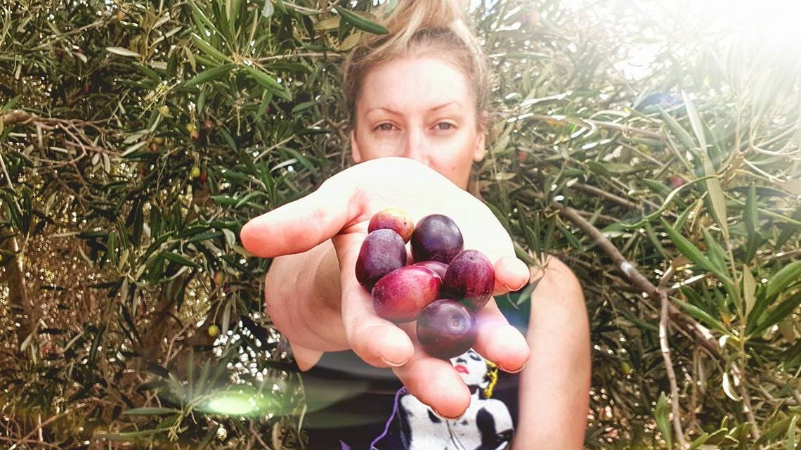 How to Marinate Olives Homemade Style Style & Life by Susana