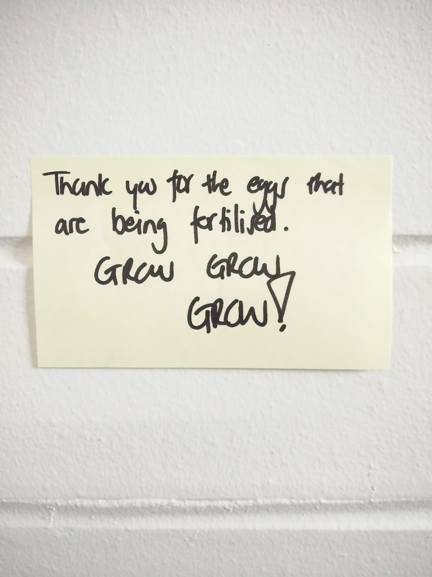 Post-It affirmations for egg fertilisation ivf-style-and-life-by-susana