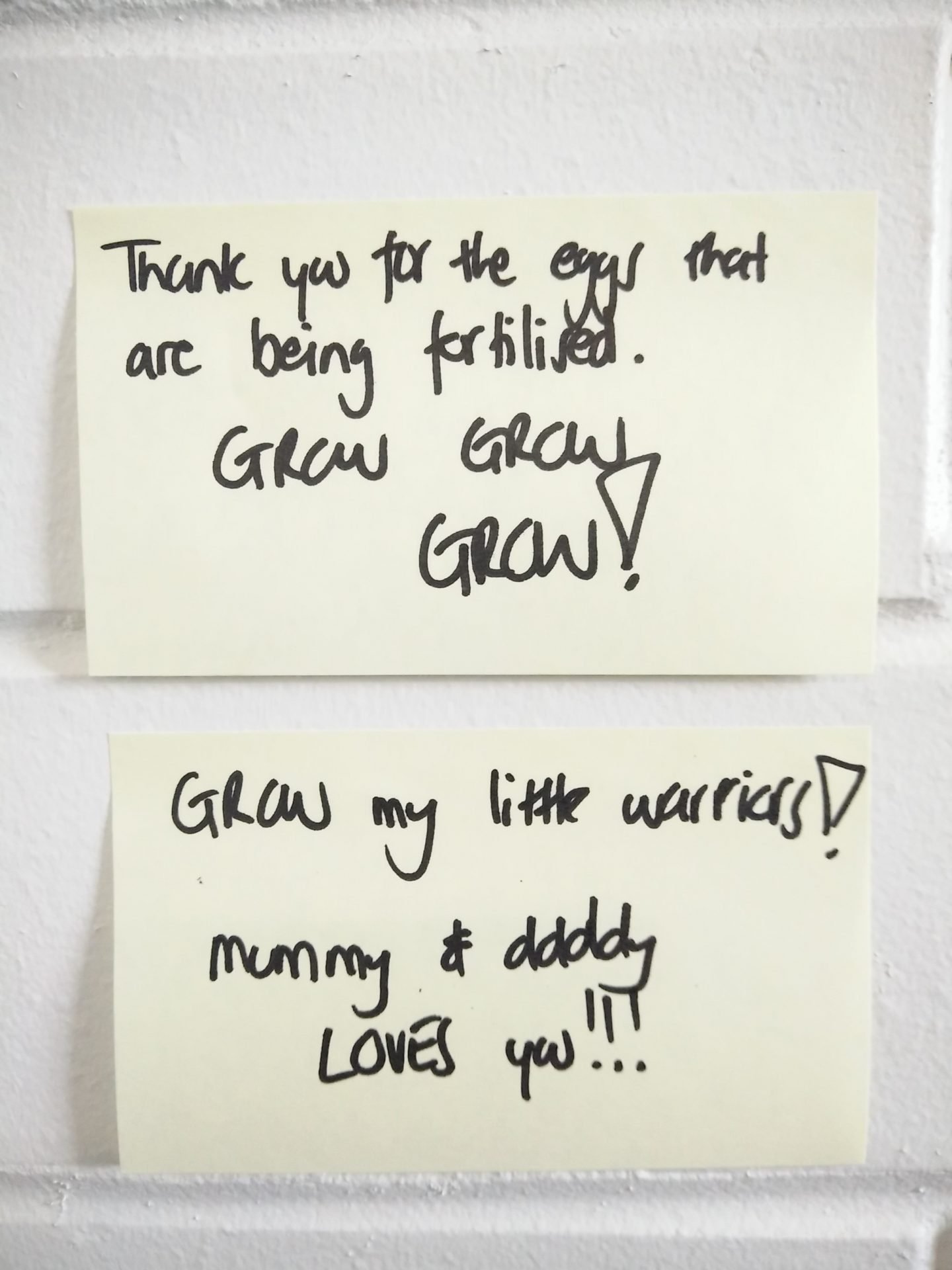 Post-It affirmations ivf-style-and-life-by-susana
