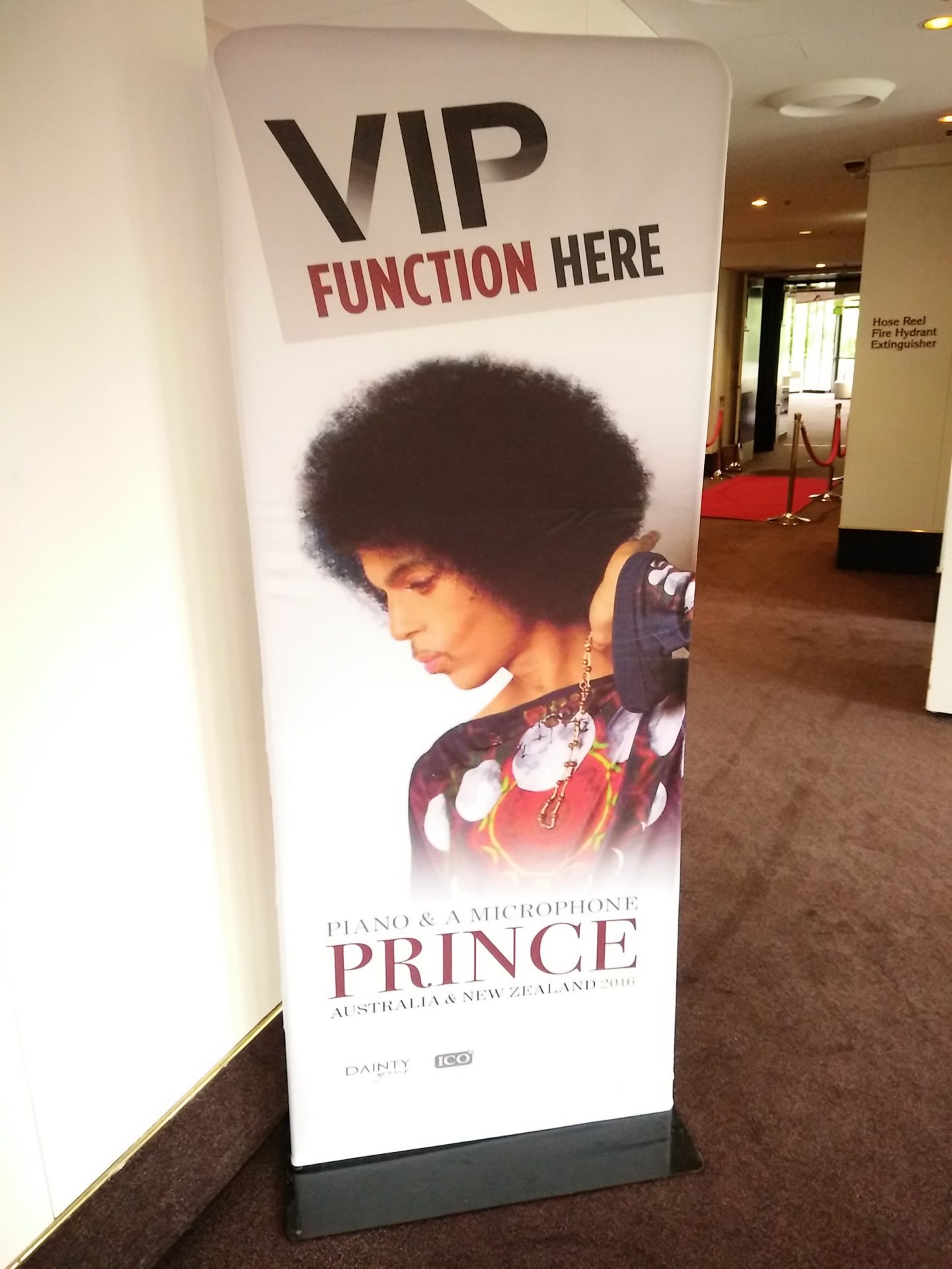 Prince - VIP section only