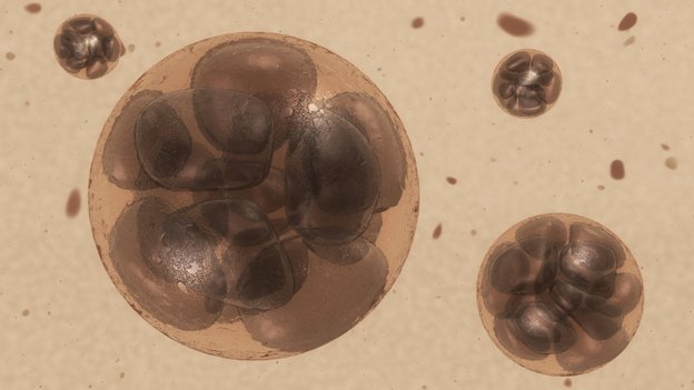 IVF CLINIC 3: the experience - lucky number 3? 2