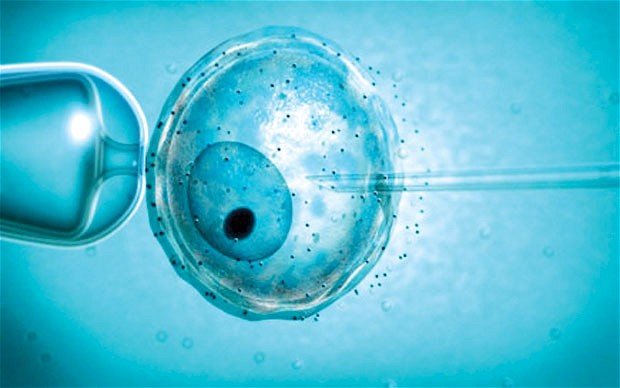 IVF CLINIC 3: the experience - lucky number 3? 3