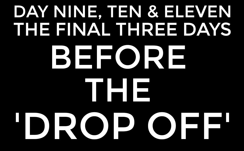 DAY NINE, TEN & ELEVEN: the final three days before the 'drop off' 1
