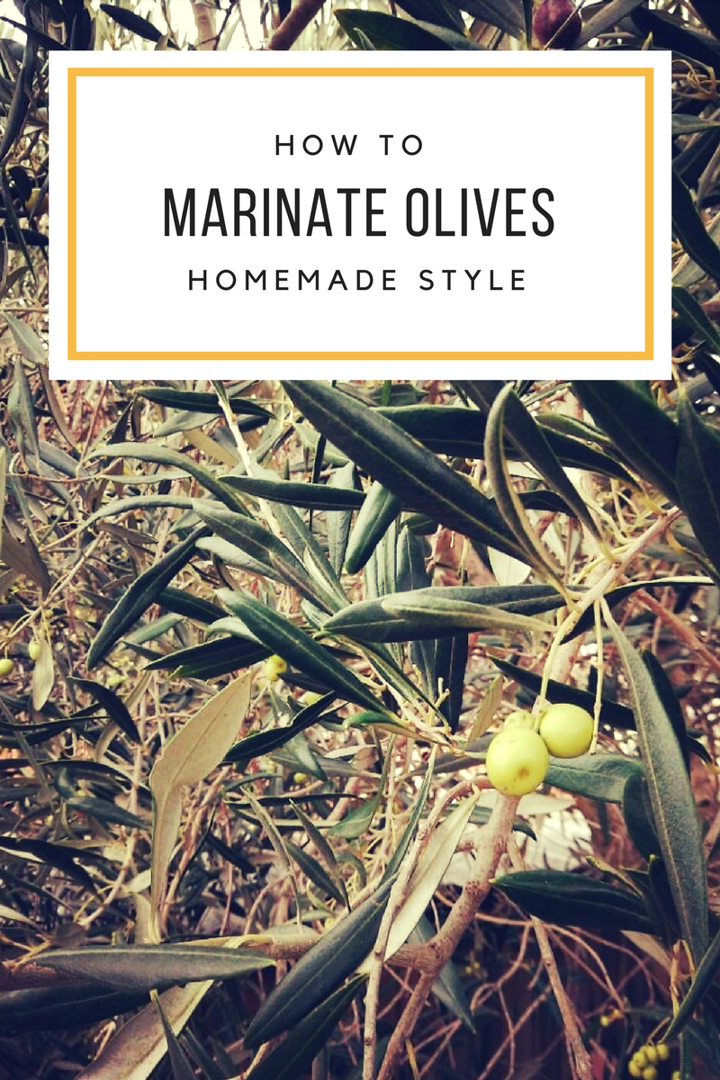 How to Marinate Olives: Home-made Style 1