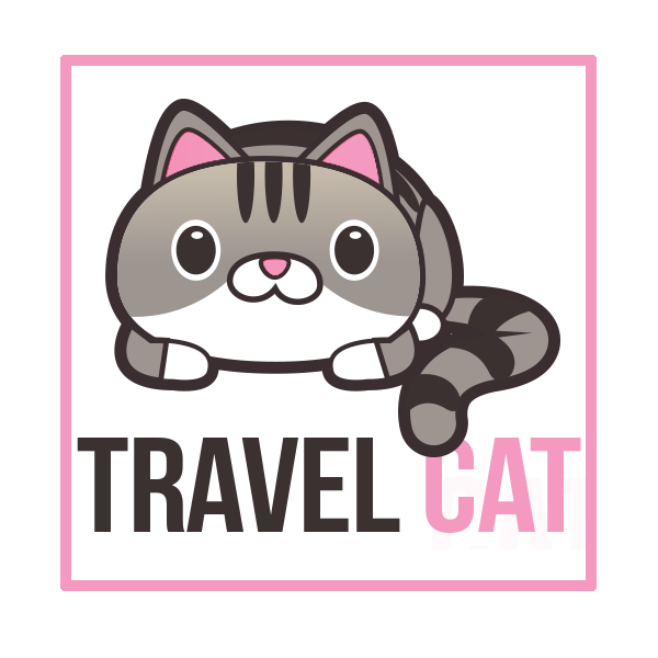 TRAVEL CAT FLIGHTS 1