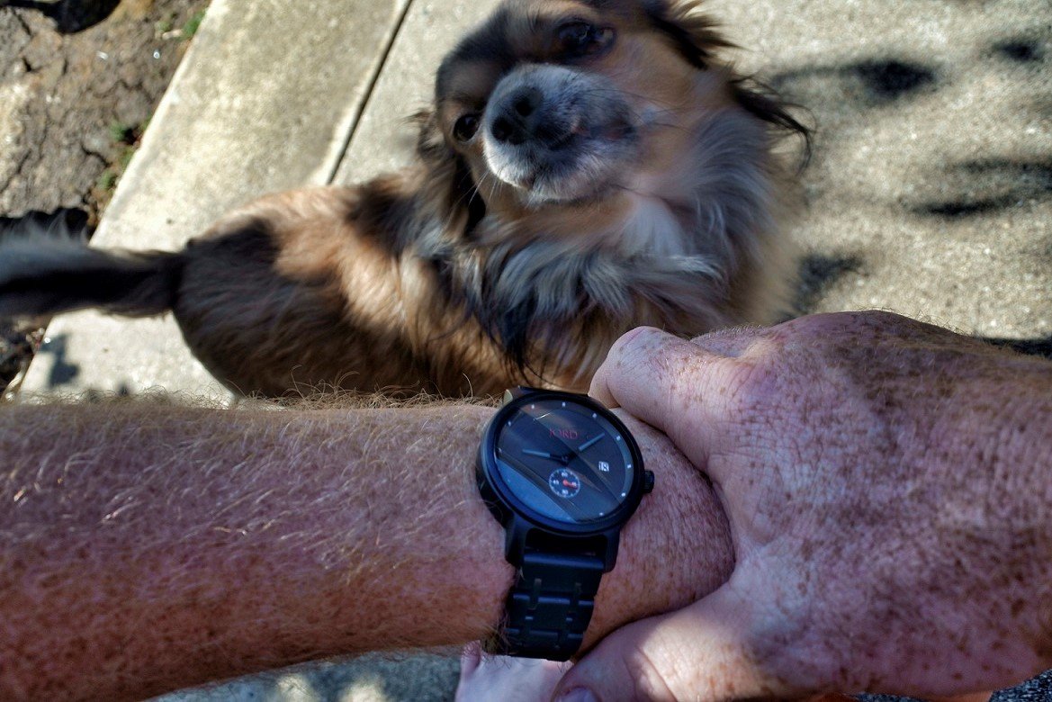 wood-watches-jord