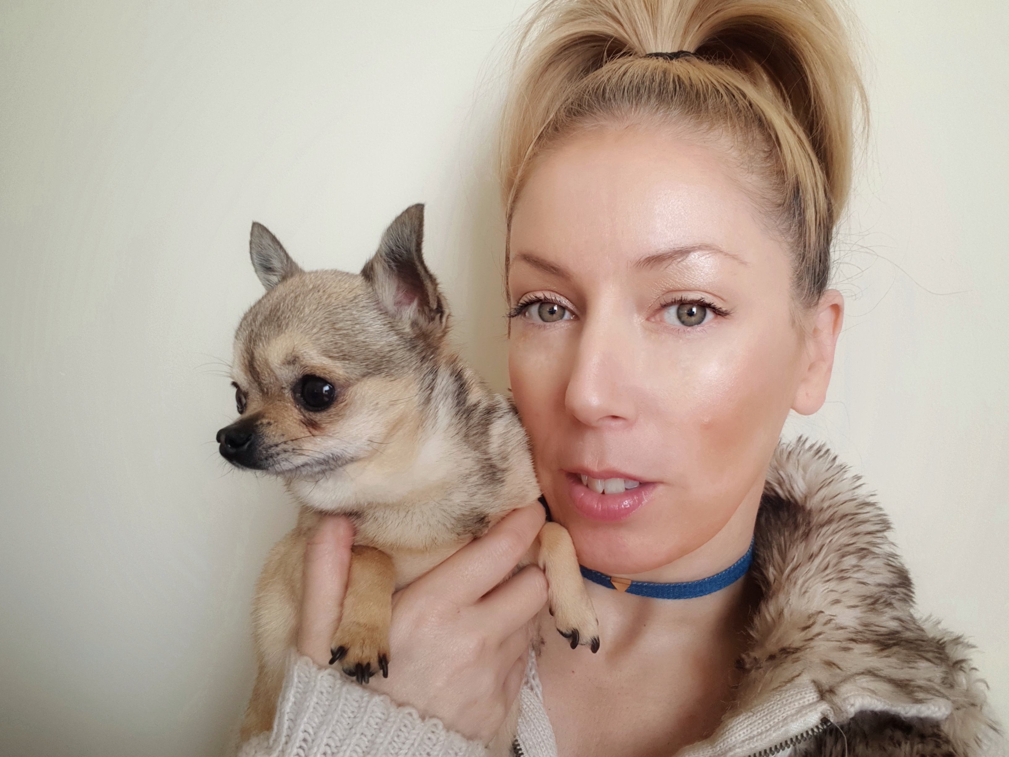 The Ultimate Guide on Your Dog’s Cleaning | Style & Life by Susana