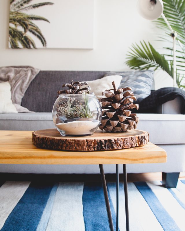 How to Detox and Design Your Home for Wellness | Style & Life by Susana How to Detox and Design Your Home for Wellness | Style & Life by Susana
