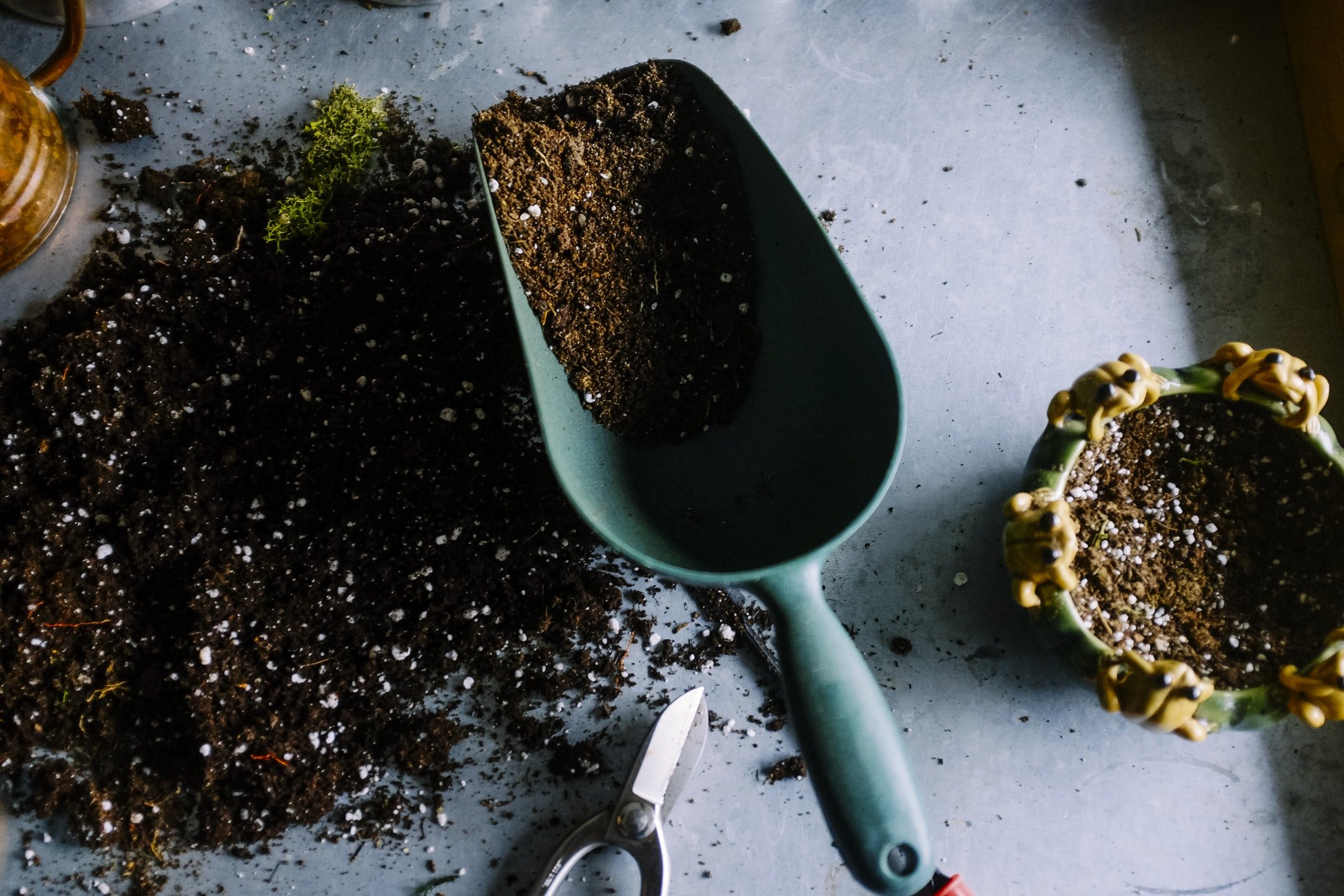 How to Choose a Hobby That Matches Your Personality | Style & Life by Susana
