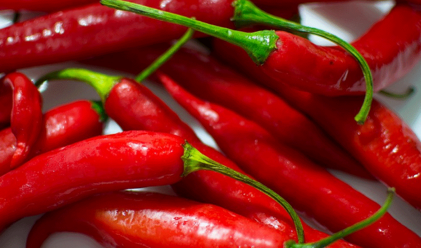 Cayenne-Pepper Best Supplements for Weight Loss | Style & Life by Susana